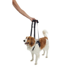 KRUUSE Rehab lifting harness, Front legs 犬用輔助步行掛帶 - 前腿  XS